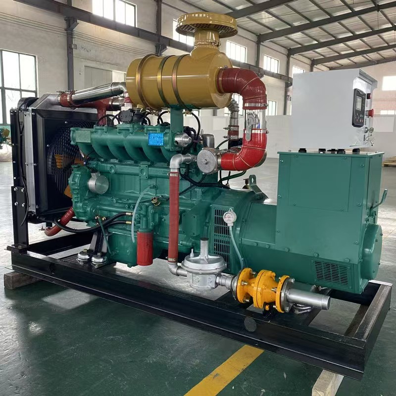 Factory Price 250kW Natural Gas Generator Set/Gas Generator 312.5kva LPG/Biogas Generator