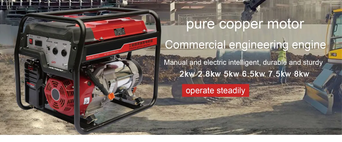 Portable Gasoline Generator Set Detail