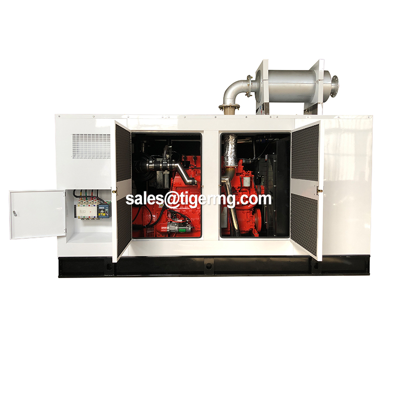 20kw-3000kw Natural Gas Electric Power Generation Generator with Cummins Biogas System Mini Equipment for Cow Farm Industrial