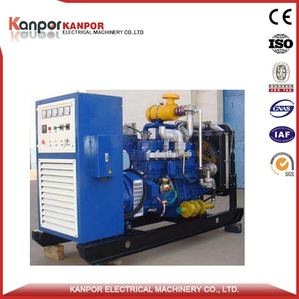 Kanpor 560kw 700kVA LPG Power Generator Set with Good Quality