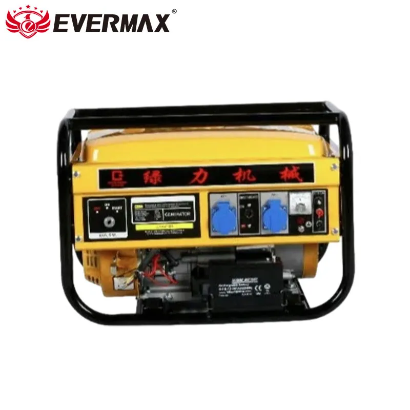Multi-Fuel 5kw Dual Petrol Generator Detail 2