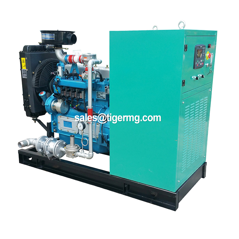 Good Price Durable Biogas Plant to Generate Electricity