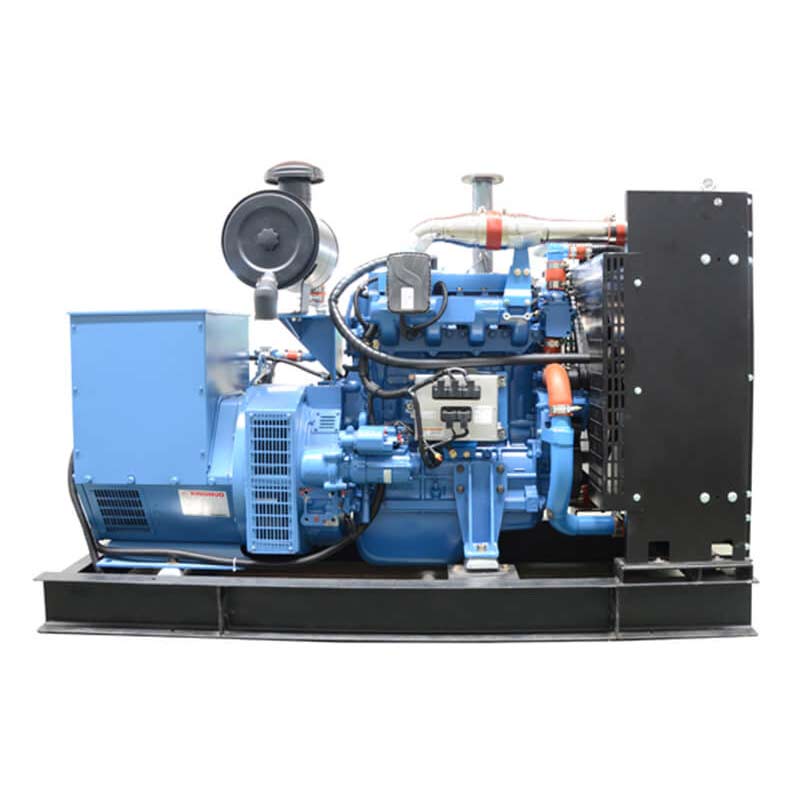 190KW Biogas Generator - Small-Scale Rural Homestay Waste-to-Energy System with Compact Installation &amp; Easy Maintenance