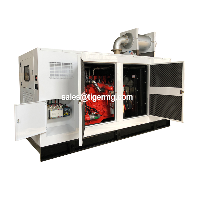 20kw-3000kw Natural Gas Electric Power Generation Generator with Cummins Biogas System Mini Equipment for Cow Farm Industrial