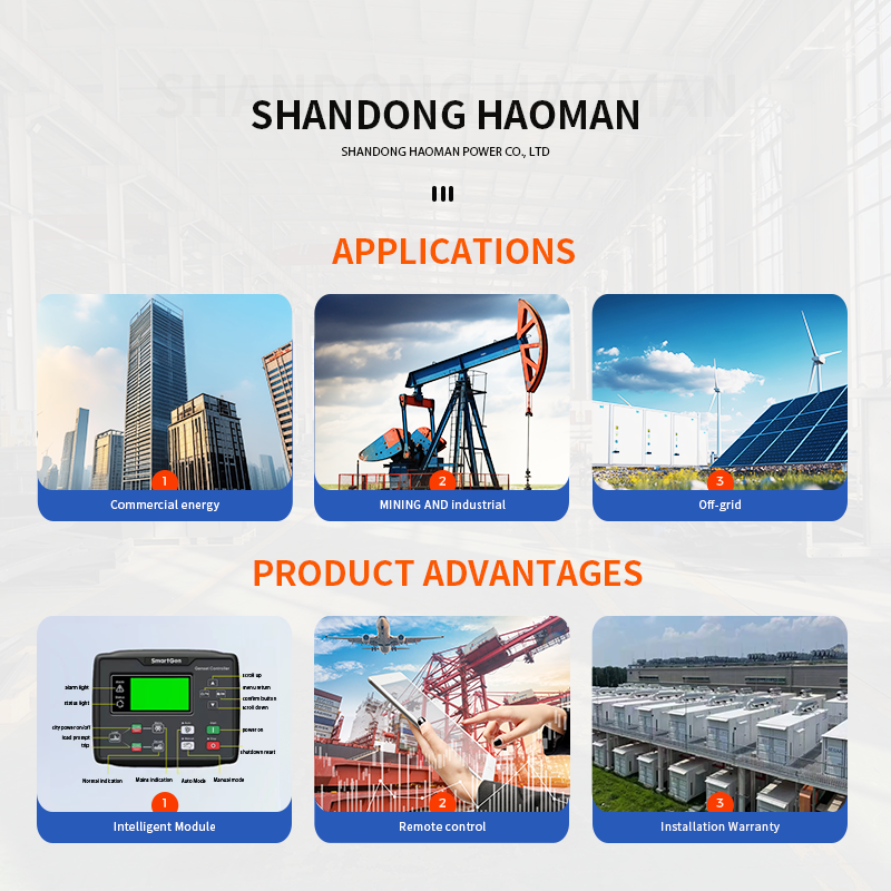 50kW CNG/LNG/LPG/Biogas Auto Start Water Cooled Gas Turbine Generator Set 62.5kVA 50/60Hz Biomass Generator For Livestock Farms