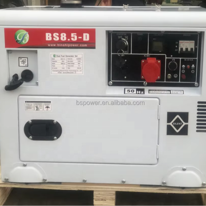 Binshi Power 10KW Silent Dual Fuel Generator Set Electricity Generation Machine LPG NG Biogas Fueled Generator Set