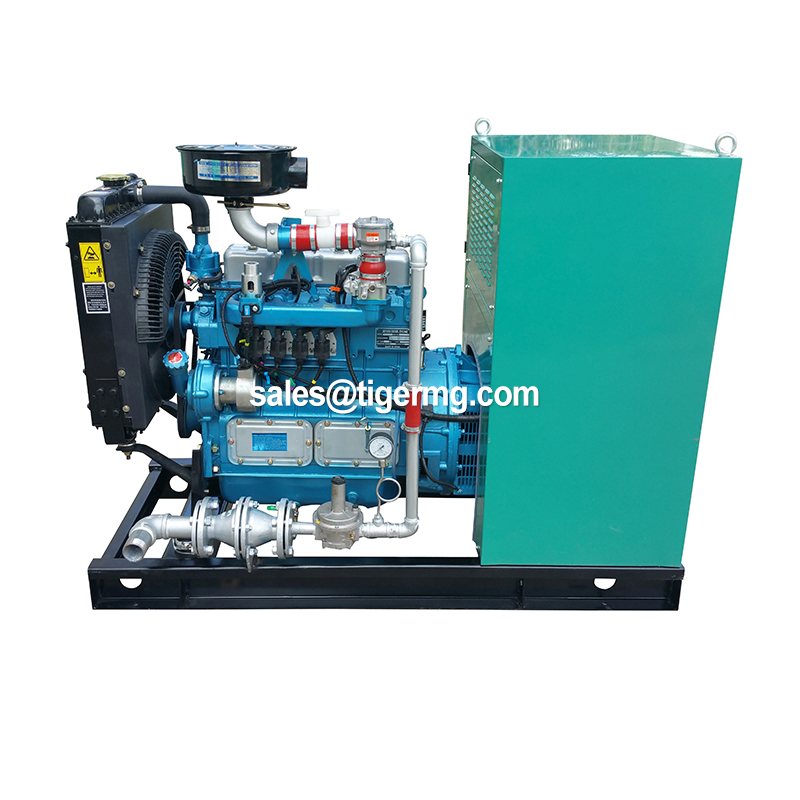 Good Price Durable Biogas Plant to Generate Electricity