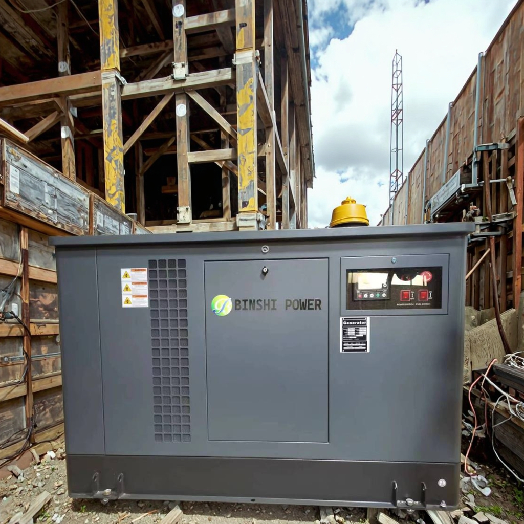 Open Type 11KW 12KW 13KW 14KW 17KW 18KW Portable Dual Fuel Gas Generator Set 2 Cylinder Natural Gas Gasoline Petrol Inverter