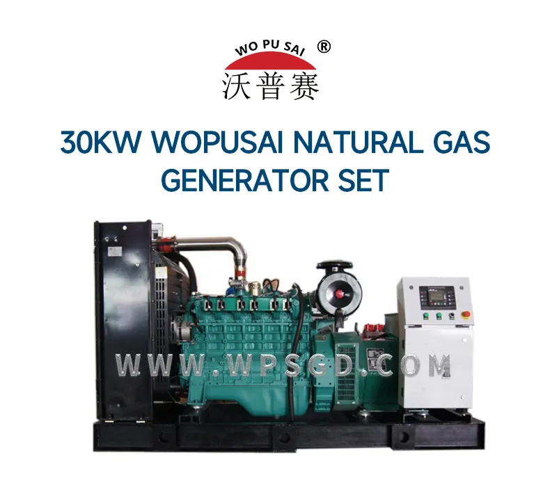 Generator Structure Diagram