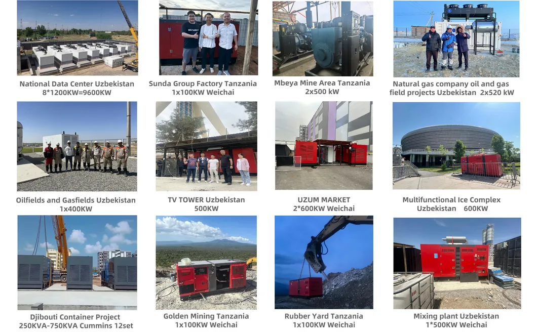 Successful Generator Project Site
