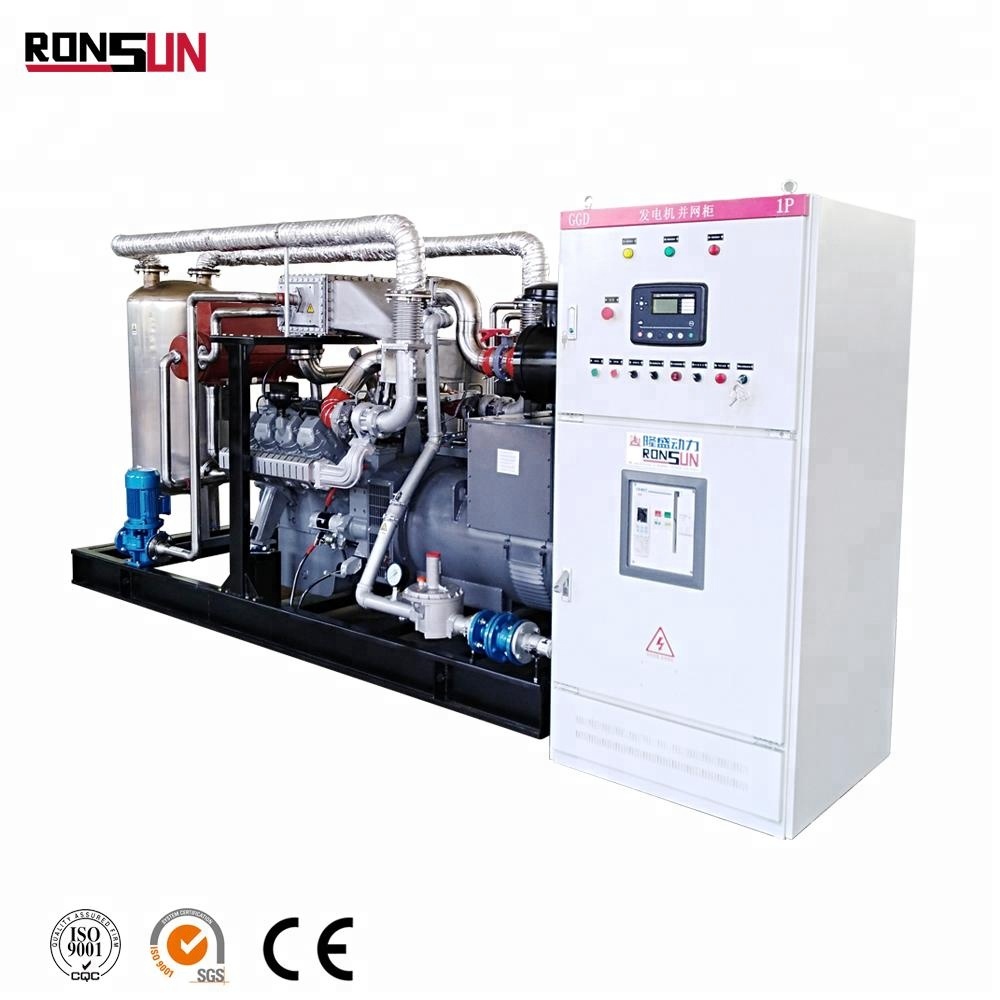 Small 250KW Natural Gas Power Generator Price for Sale