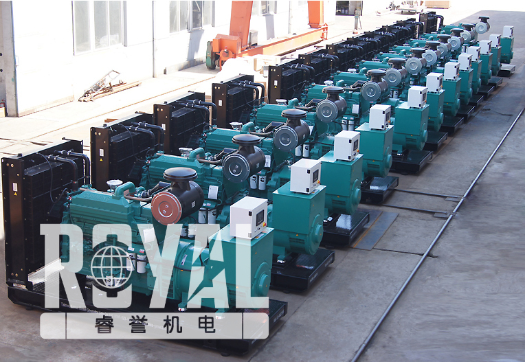 Finished Diesel Generator 1