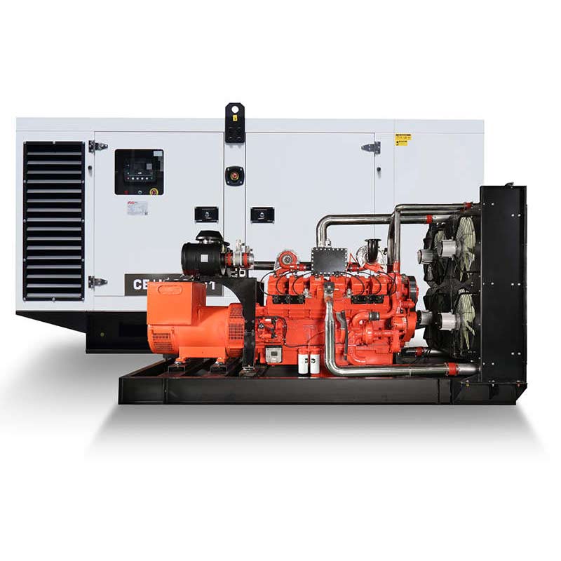 100KW Biogas Generator - Livestock Farm Large-Scale Manure-to-Energy System For Breeding Operations With Odor Control