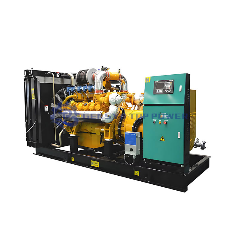 Clean Energy Biogas Generator with 95% Efficiency for Natural Gas Syngas