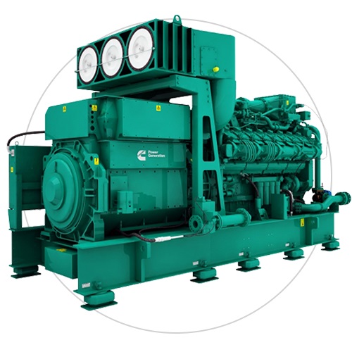 Natural Gas Generator