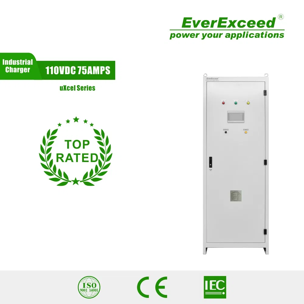 Smart Battery Charger Lead Acid/NiCd/ Lithium Industrial Battery Charger/DC UPS