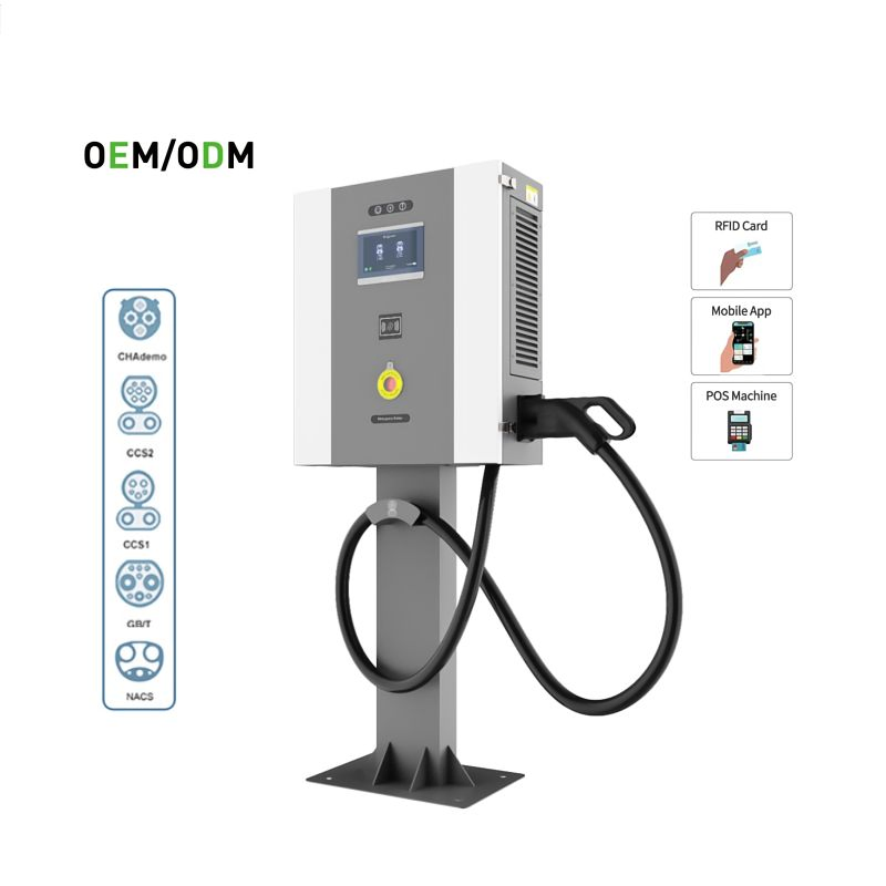Commercial Quality Assurance 20kw/30kw/40kw GB/T Wall-Mounted DC EV Charging Station New Condition Car Charger for Chinese Cars