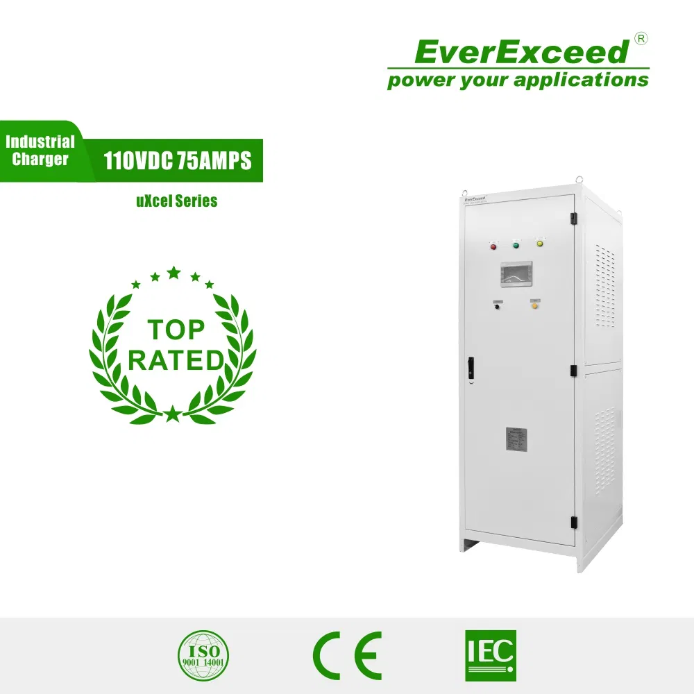 Smart Battery Charger Lead Acid/NiCd/ Lithium Industrial Battery Charger/DC UPS