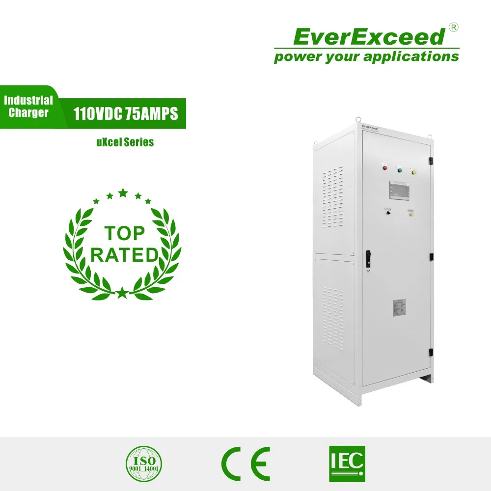 Smart Battery Charger Lead Acid/NiCd/ Lithium Industrial Battery Charger/DC UPS