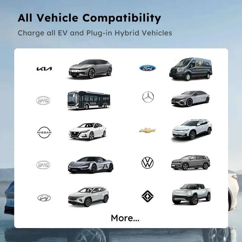 DC EV Charger Module