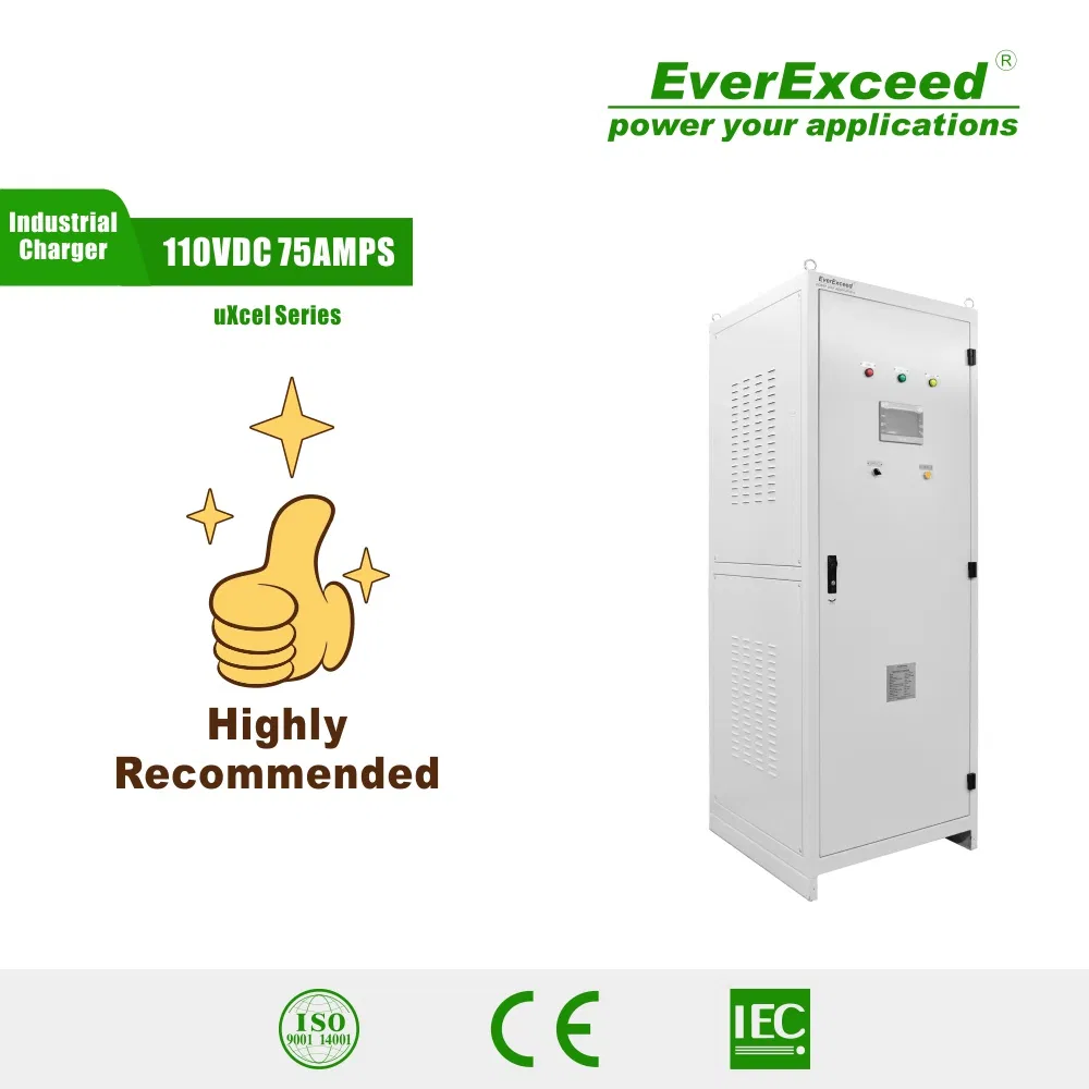 Smart Battery Charger Lead Acid/NiCd/ Lithium Industrial Battery Charger/DC UPS