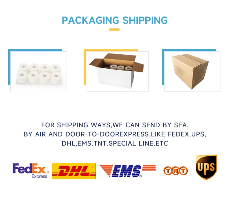 Zinc Oxide Plaster 9