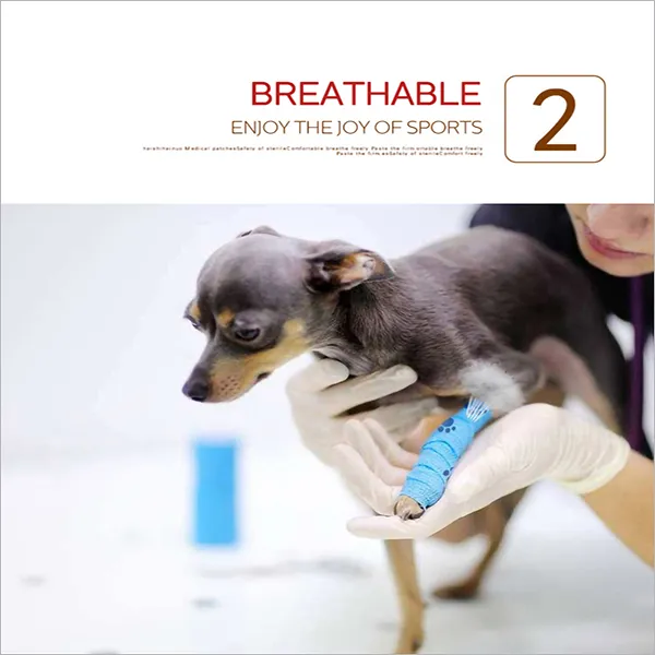 Cohesive Bandage Photo 2