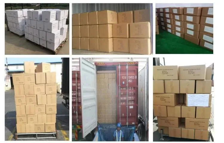 Shipping and Logistics