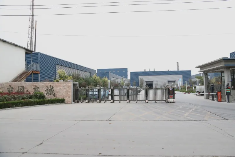 Wrestling Application