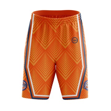 Custom Logo Breathable Quick Dry Mesh Shorts Basketball Sports Shorts for Men