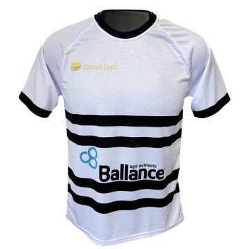 Unisex 100% polyester sublimation soccer jersey