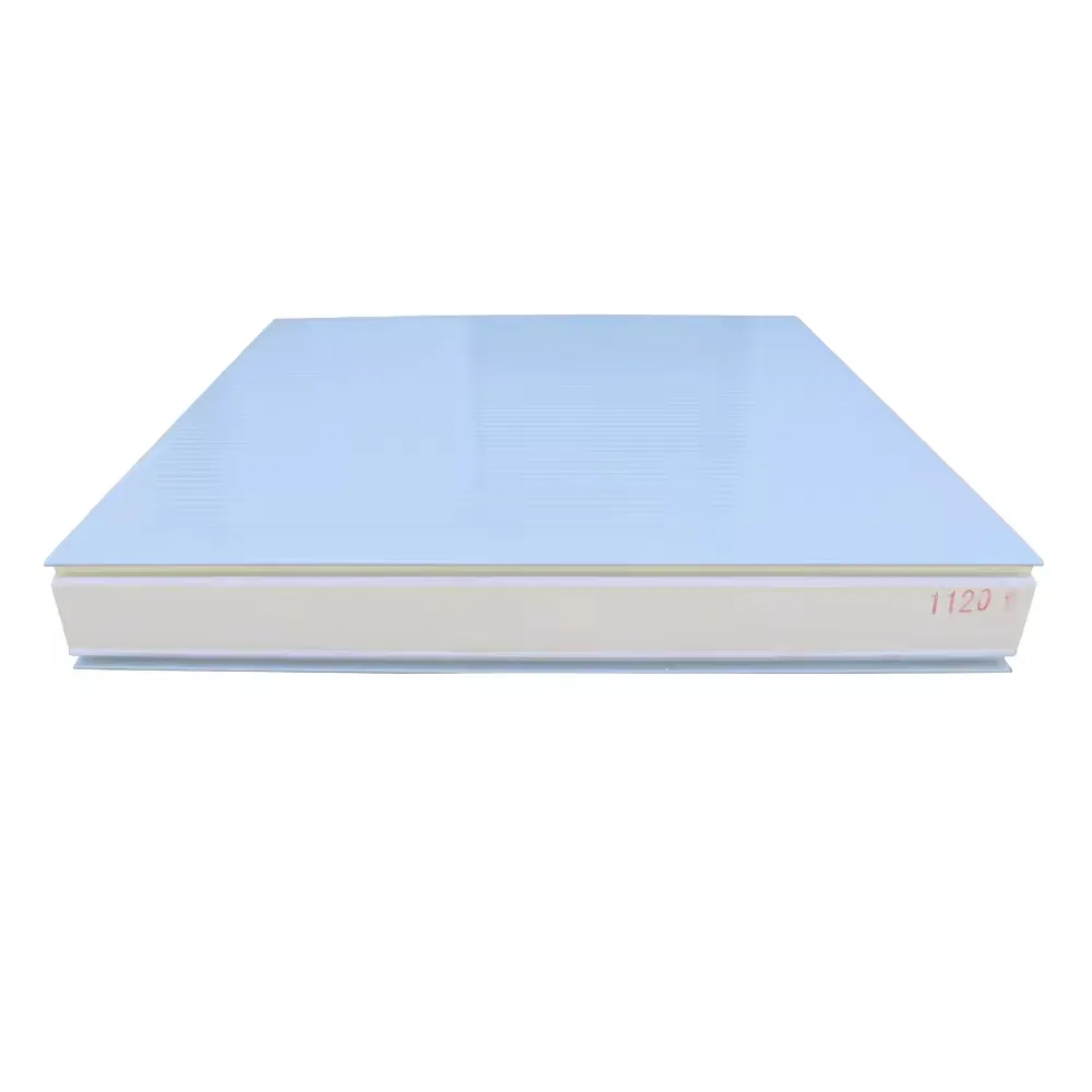 Soundproof Fire Resistant Eco-Friendly Cold Storage Sandwich Panel with 5+ Year Warranty-for Medical/Pharmaceutical Cold Rooms