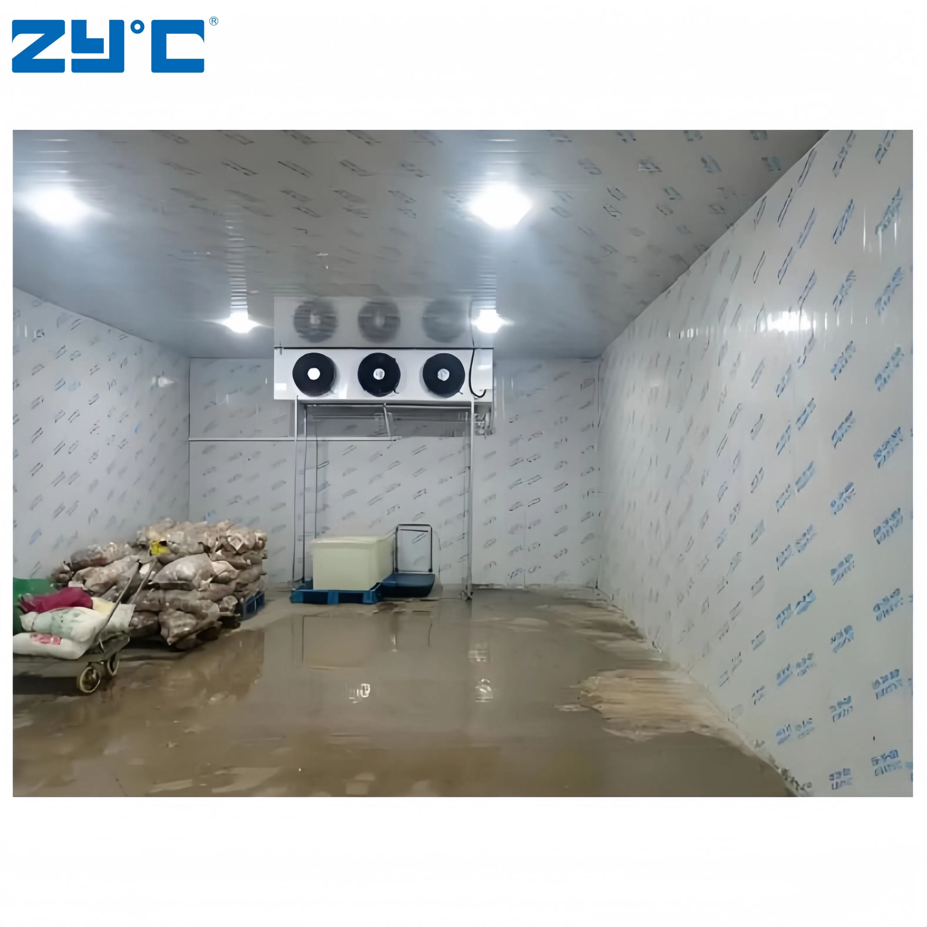 Wholesale Freezing Room 20FT Mobile Container Storage/Cold Room Freezer for Fish Vegetable Fruits Ice Cream Walk in Freezer