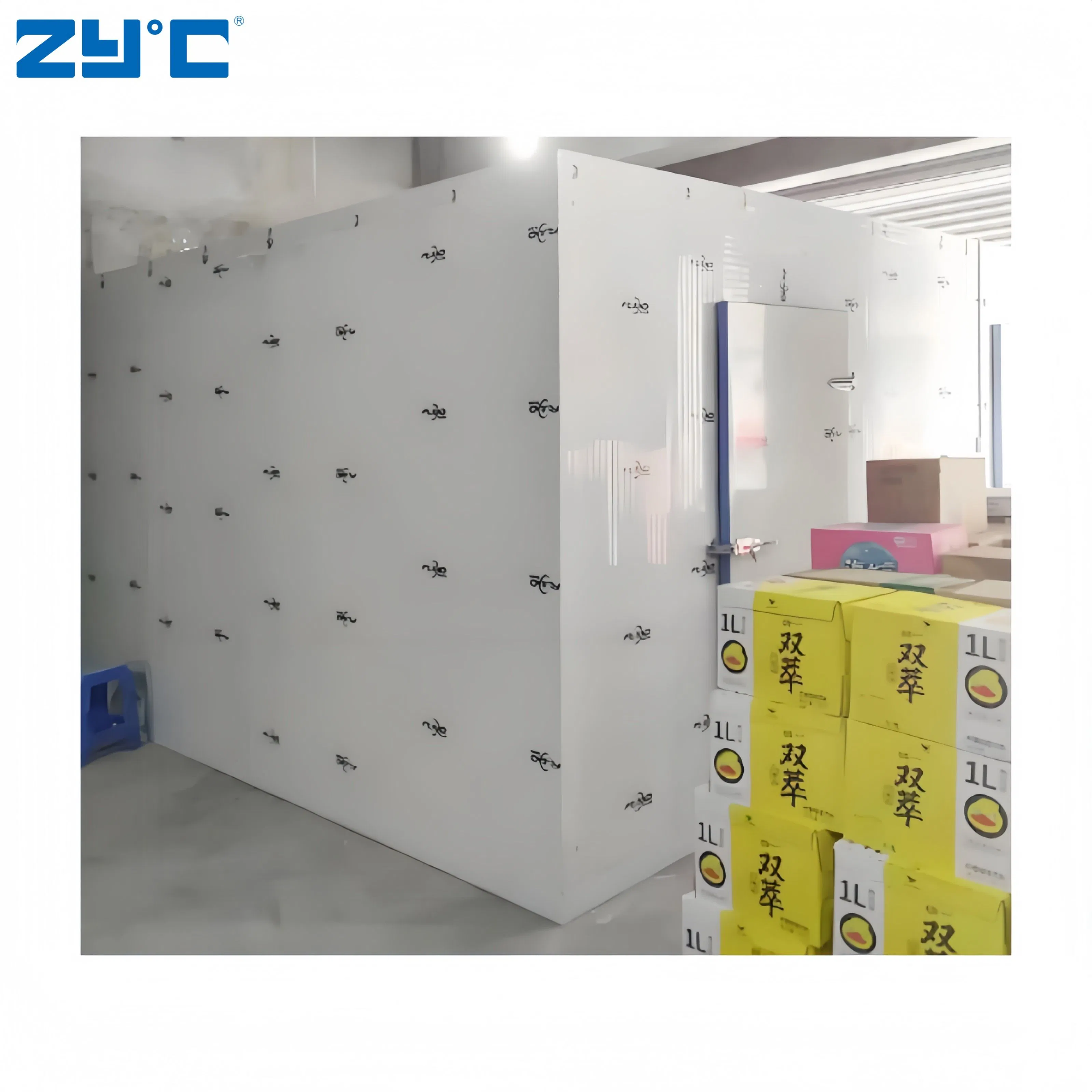New Design Movable Cold Room Freezer with Hinged Door Container Walk in Freezer
