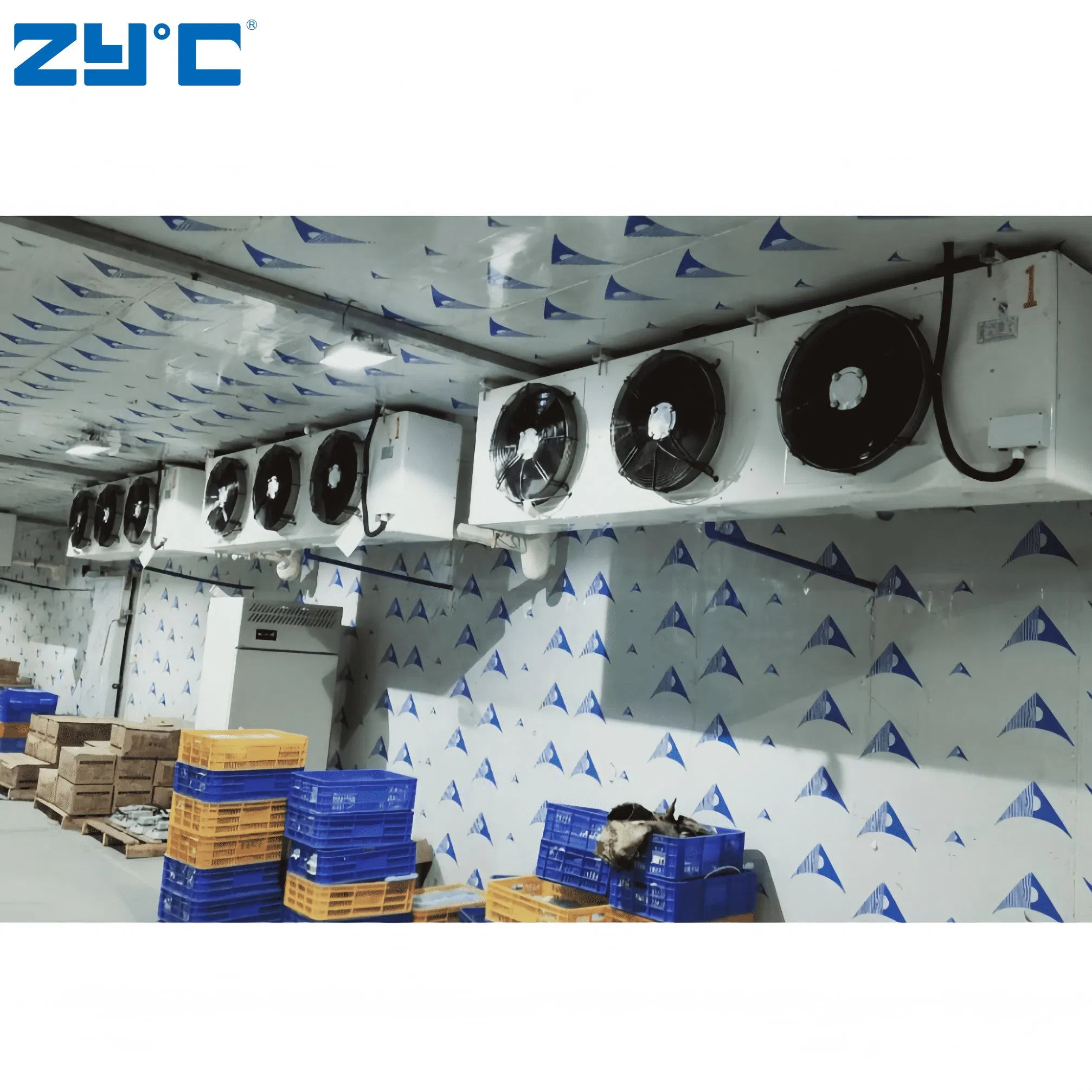 Industrial Blast Freezer Container Walk in Freezer Refrigeration Unit Low Temperature Logistics Cold Storage