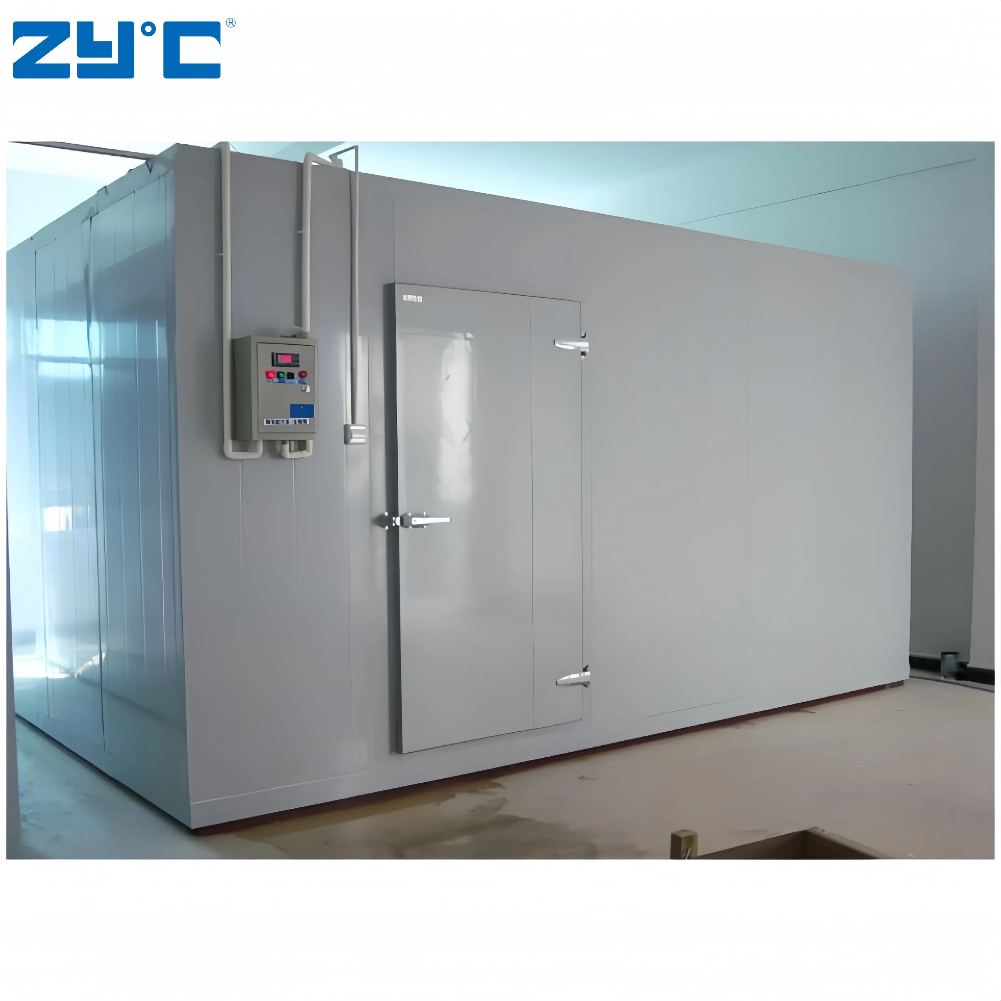 Cool Blast Freezer Equipment Solar Powered Cold Rooms Walk in Freezer Container for Vegetables and Fruits