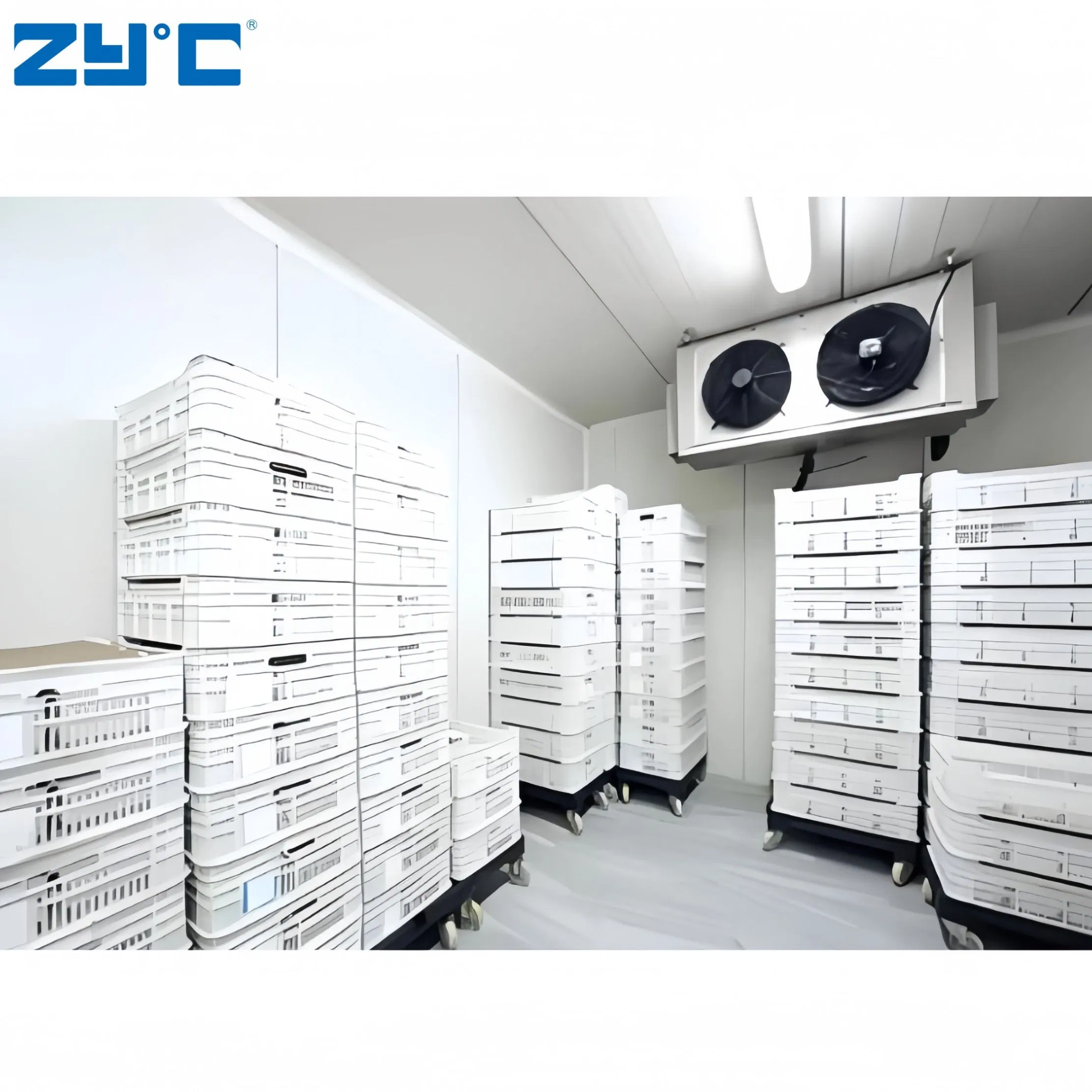 Good Price and Quality Spain Cold Room Cooling Unit Storage for Fruits and Vegetables