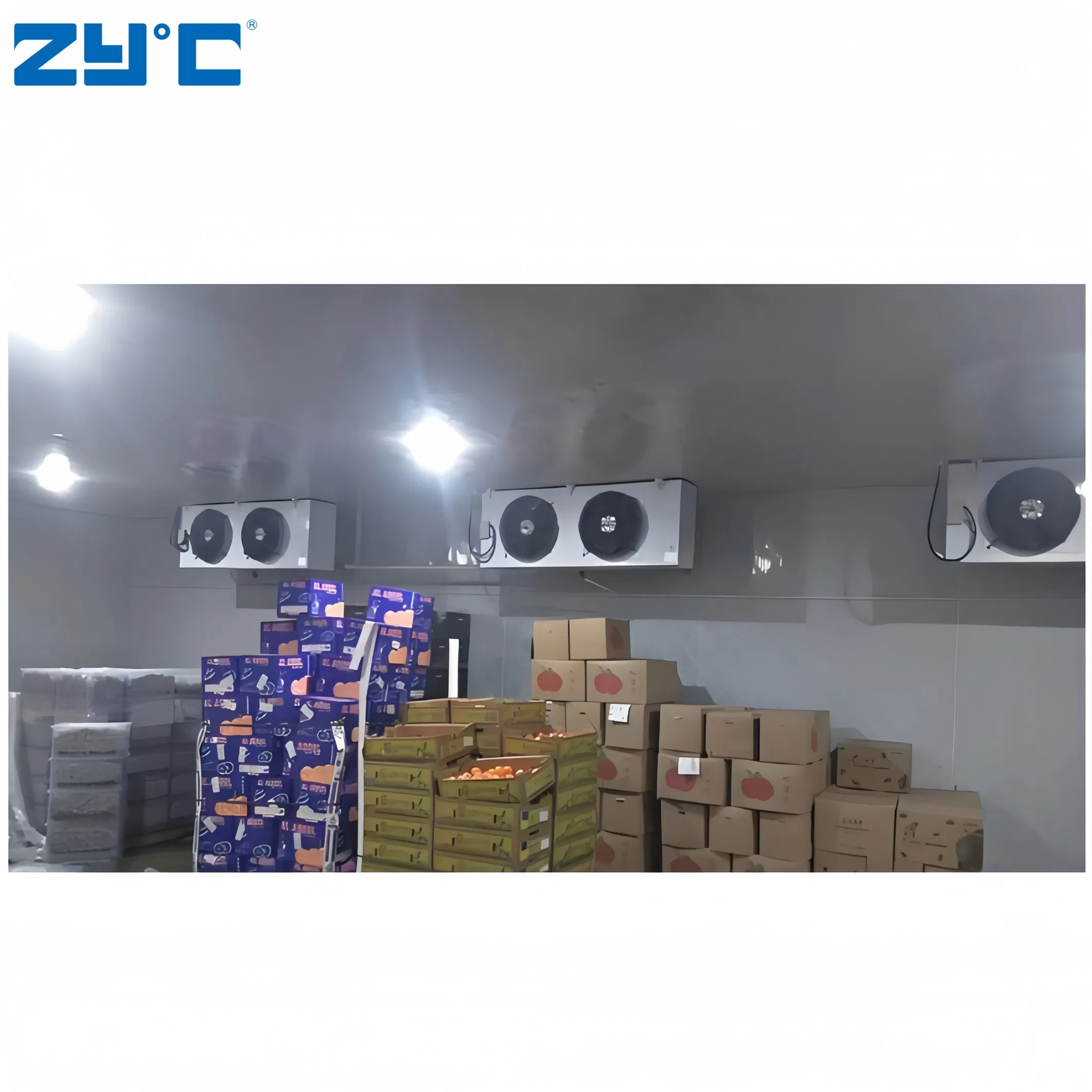 Low Price Cold Store Room Container One Stop Solution Cold Room for Frozen Meat