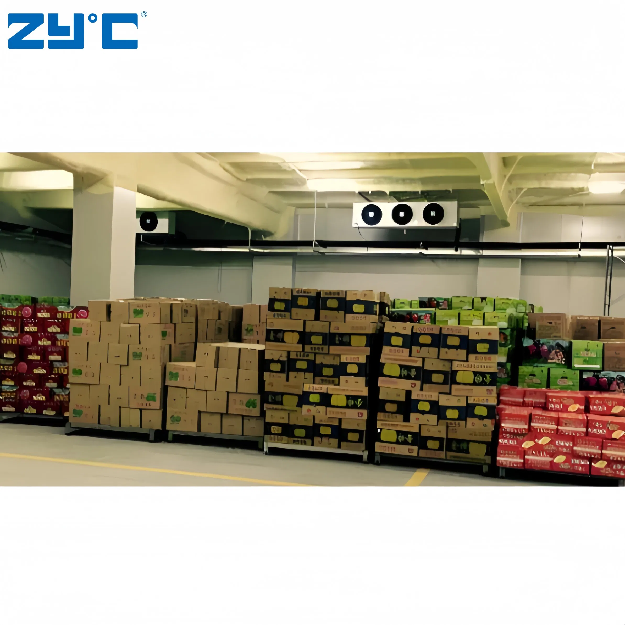 Frozen Meat Seafood Beef Chicken Vegetable Fruit Walk in Container Cool Freezing Freezer Cold Room