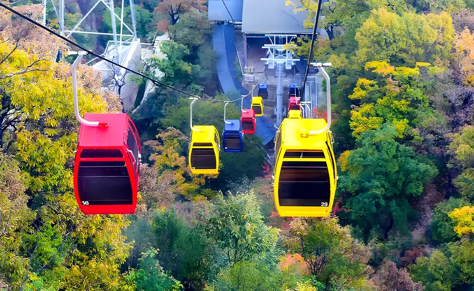Modular Cableway System
