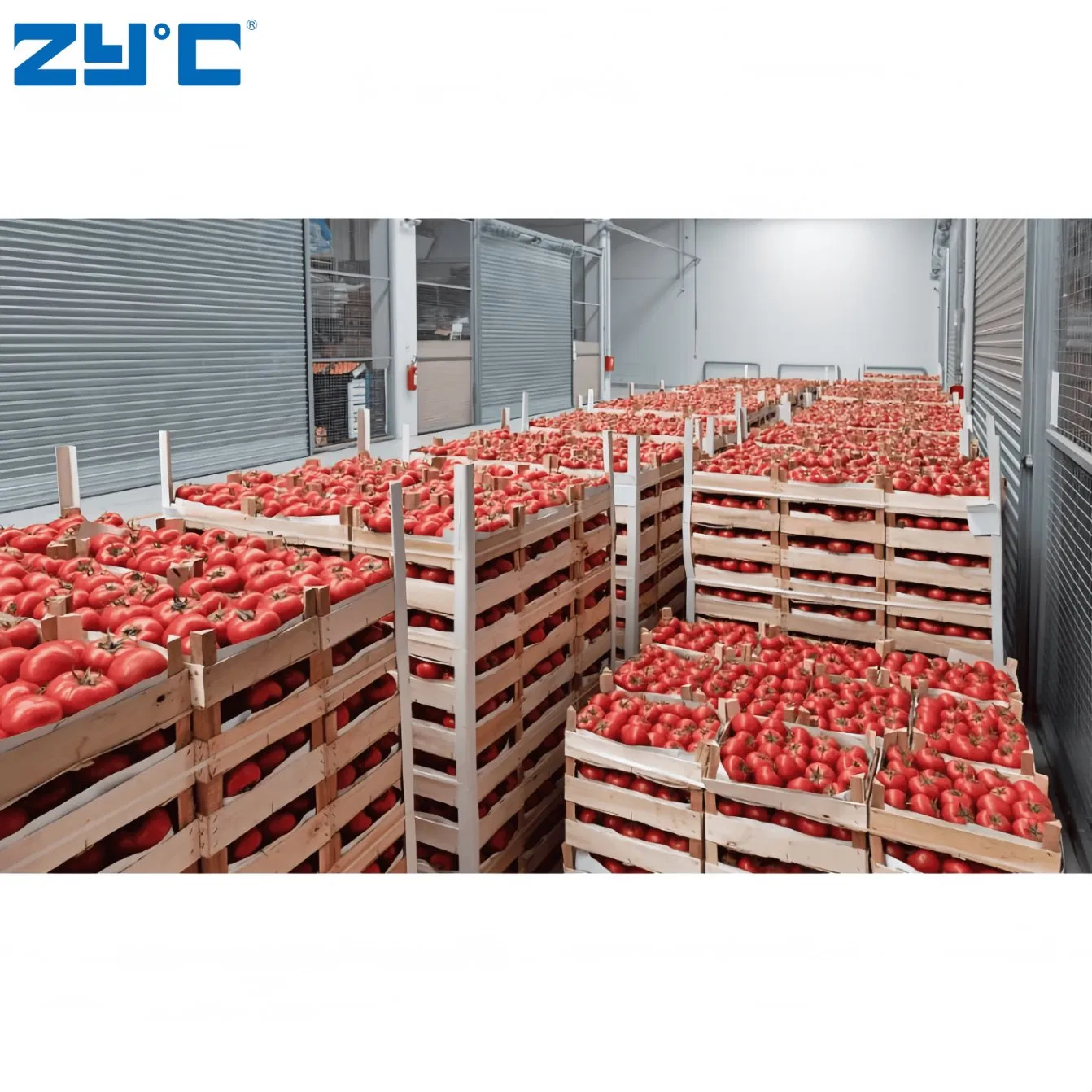 Industrial Blast Freezer Container Walk in Freezer Refrigeration Unit Low Temperature Logistics Cold Storage