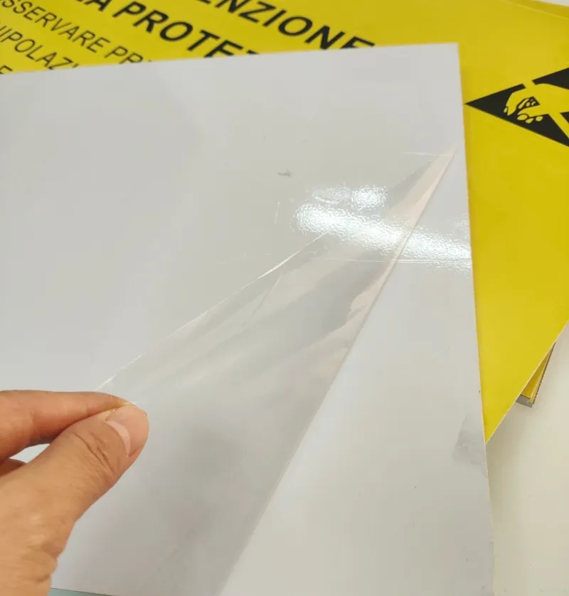 Slovak ESD Warning Sign 5