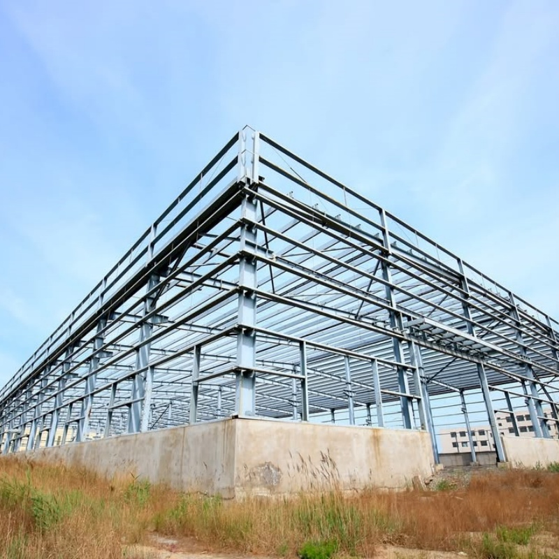 Insulated Sandwich Panel Steel Structure Building for Pharmaceutical Clean Room