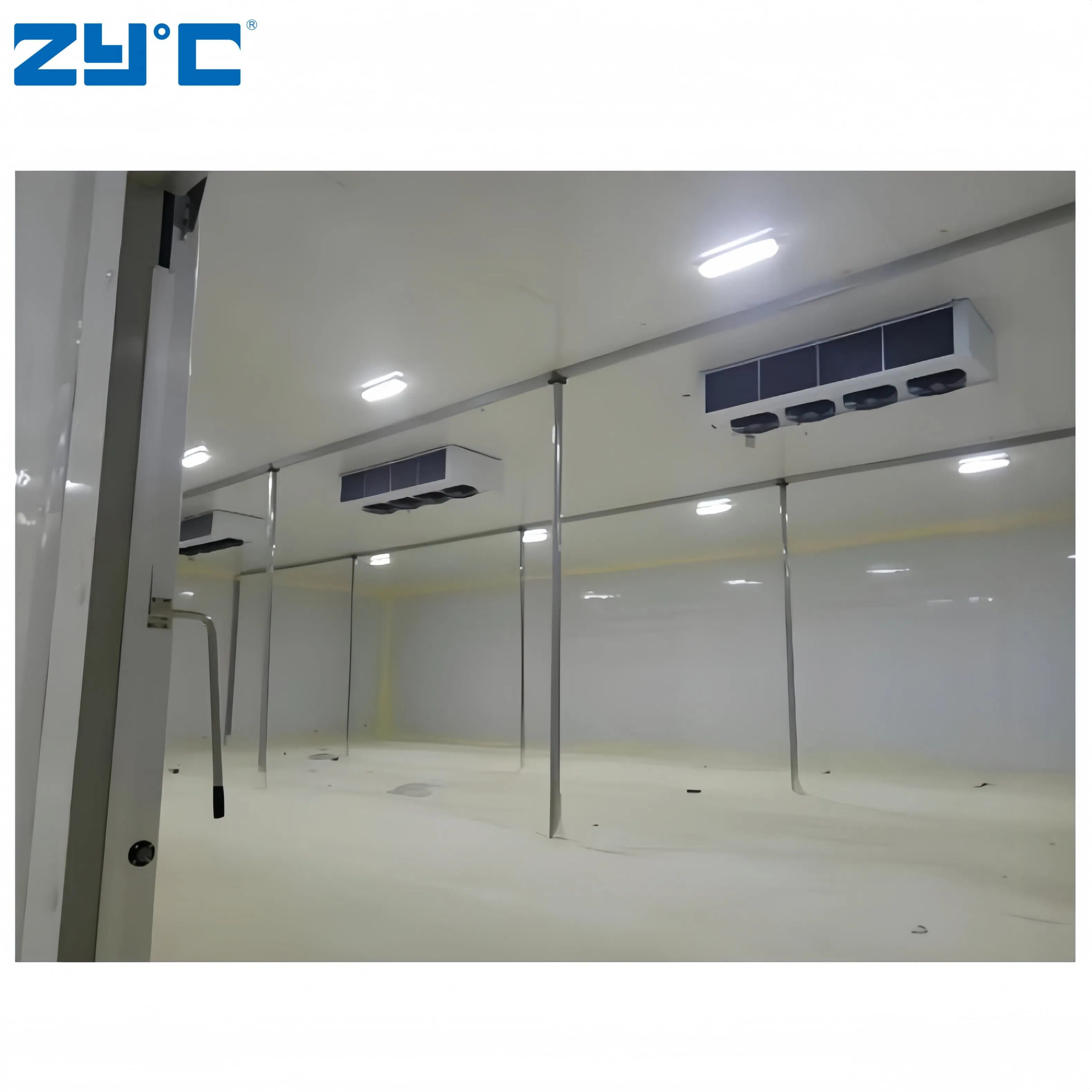 Portable Walk-in Freezer Cold Room Storage Container for Medicine