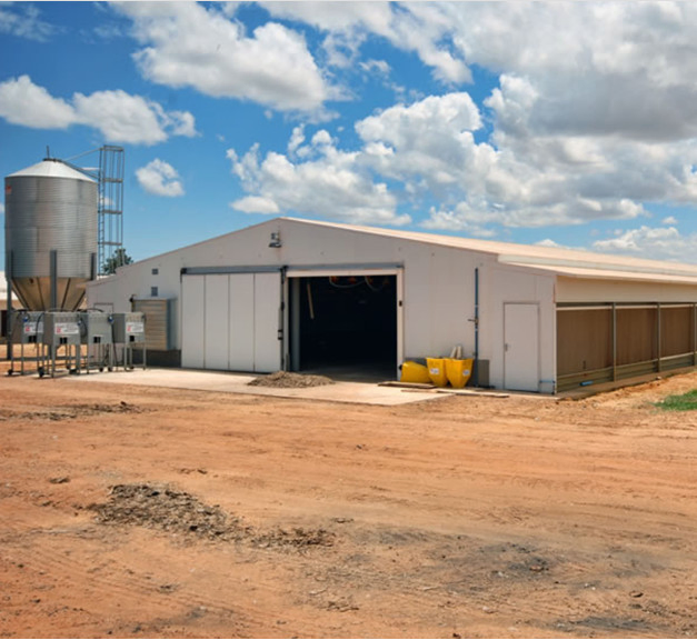 Factory Made Quick Install Customized Design Affordable Economic Steel Structure Prefab Building