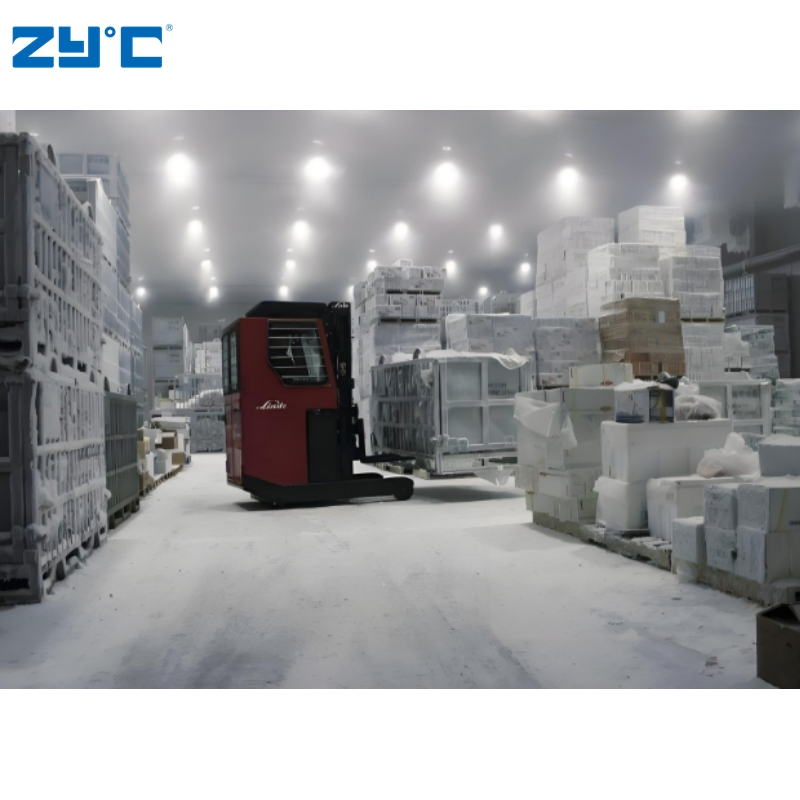 Walk in Cold Room Storage Refrigeration 10 to 100 Ton Blast Freezer Price for Meat Fish Chicken Onion Vegetable Fruit