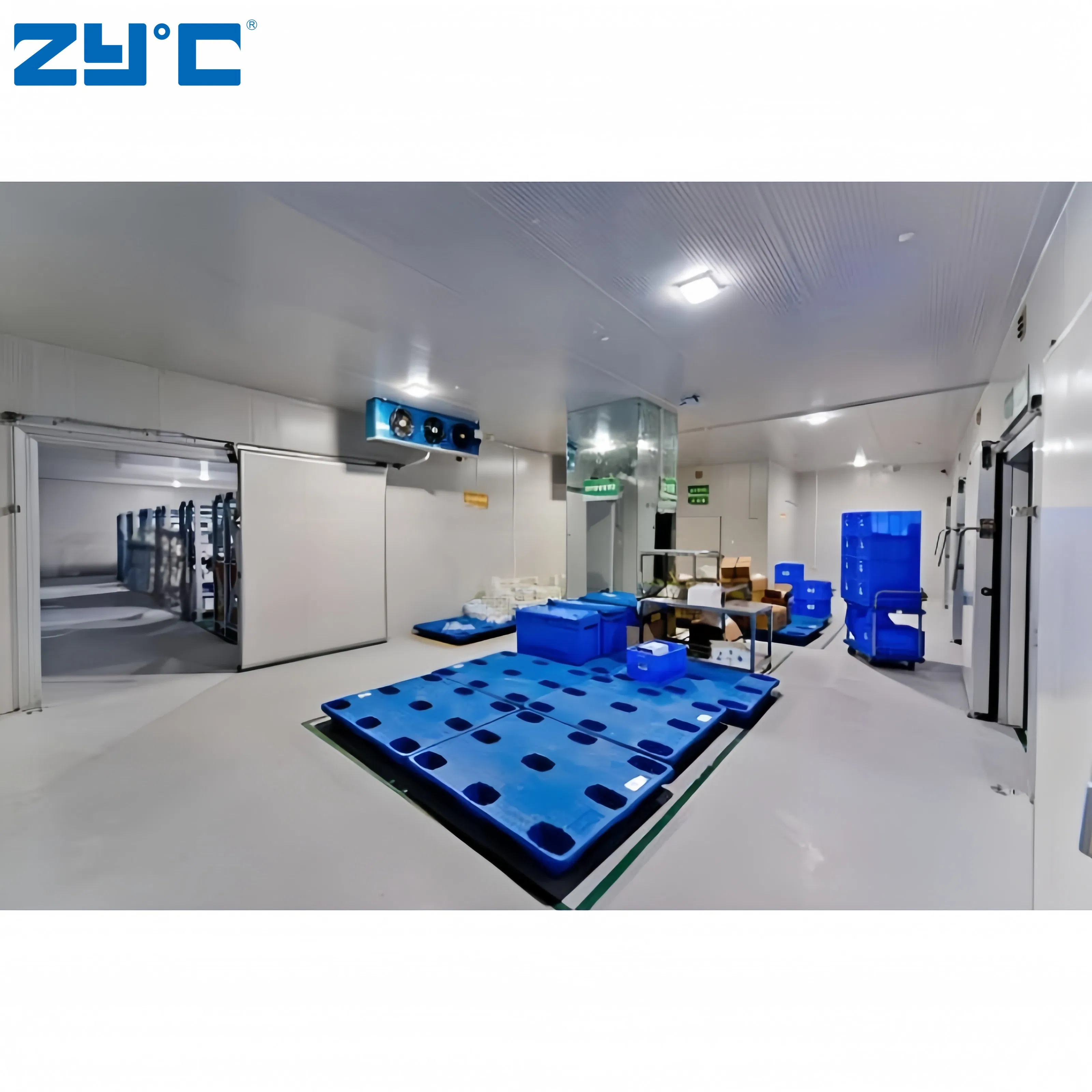 Industrial Cool Rooms and Freezer Room Blast Freezer Container Walk in Freezer Refrigeration Unit Cold Storage