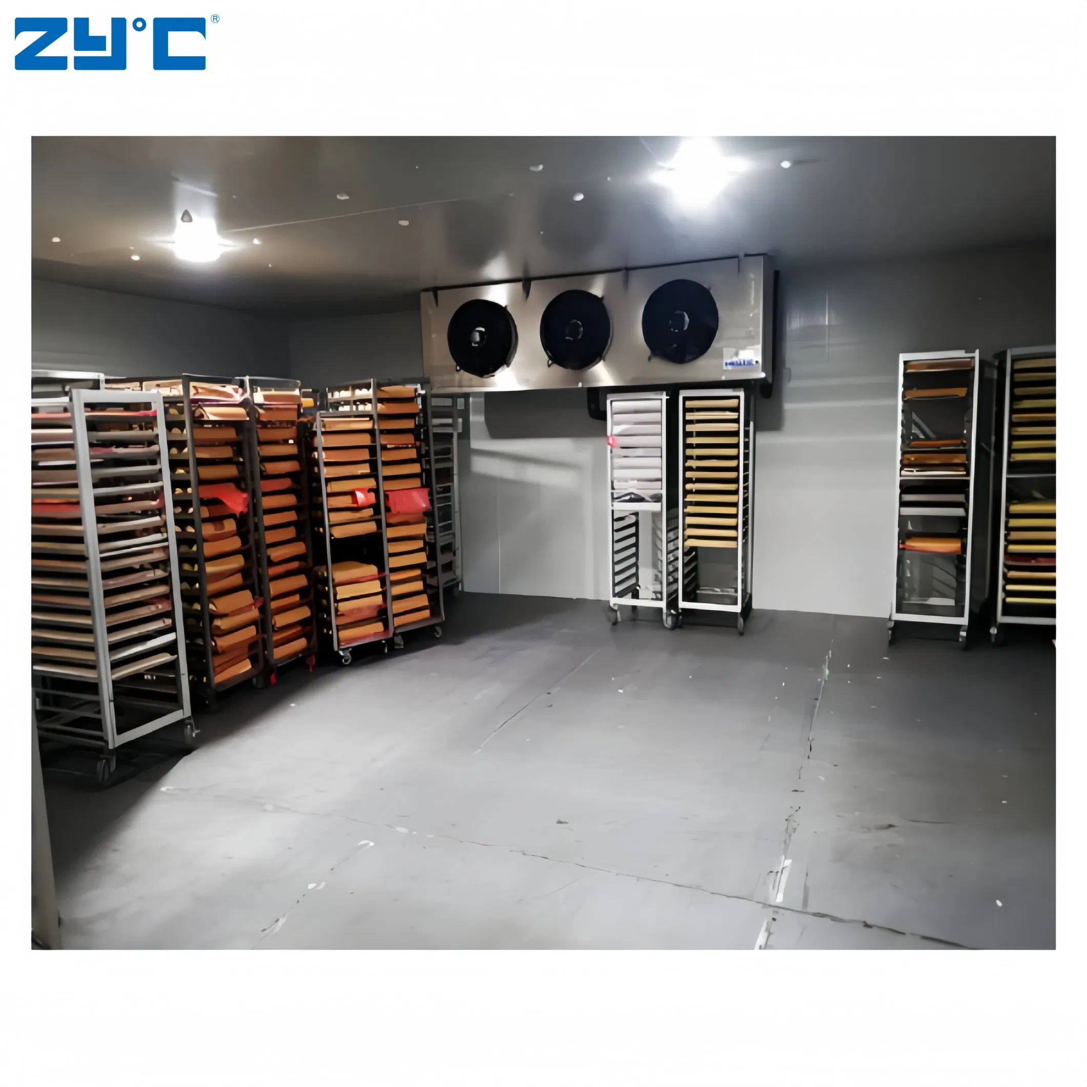 Low Price Cold Store Room Container One Stop Solution Cold Room for Frozen Meat