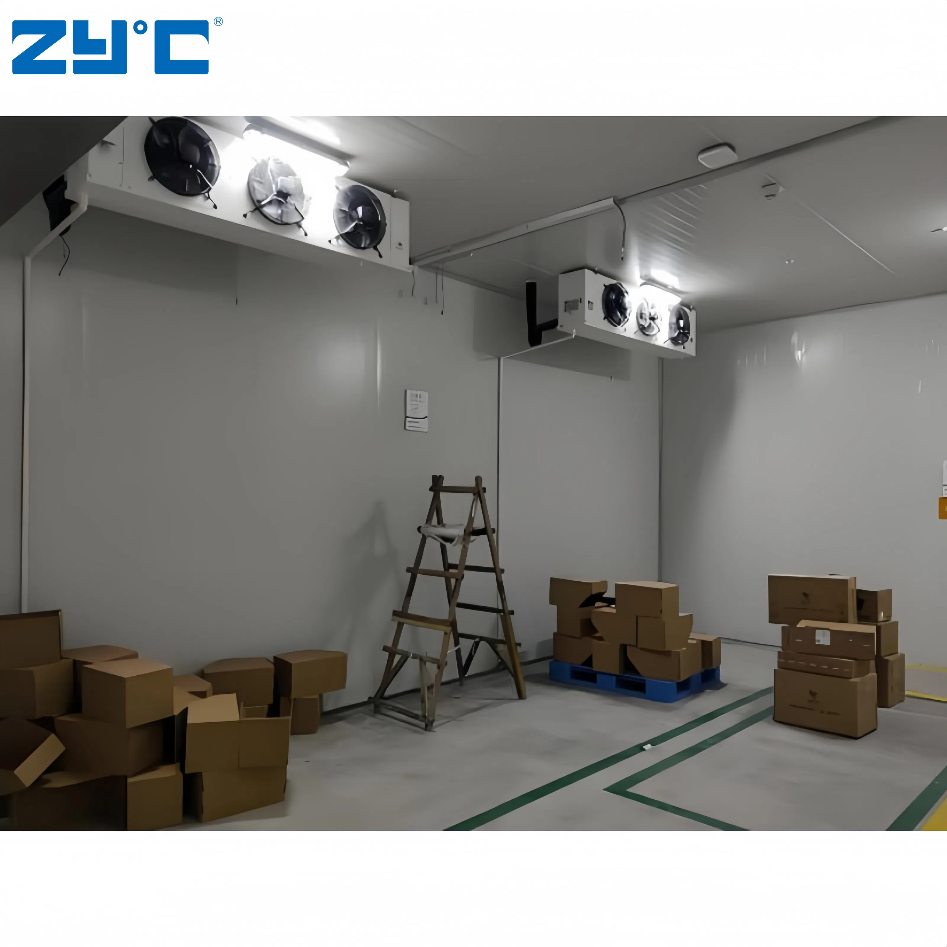 Wholesale Walk in Freezer 10FT 20FT Cold Storage Room Container for Meat Vegetable Medicine