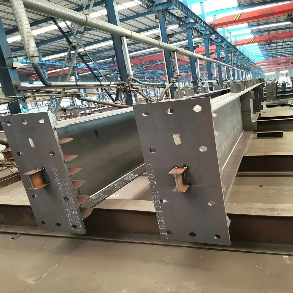 Steel Structure for Pharmaceutical Factory Cleanroom, Sanitary Grade